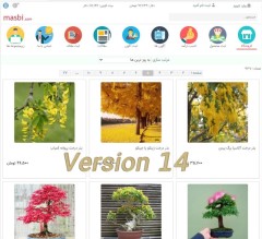 طراحی سایت حرفه‌ای فروشگاهی بازاریابی | پورتال Masbi برای کسب درآمد اینترنتی