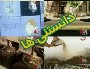 20 دانستنی جالب...