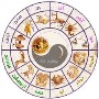 در چه ماهی باید متولد میشدید